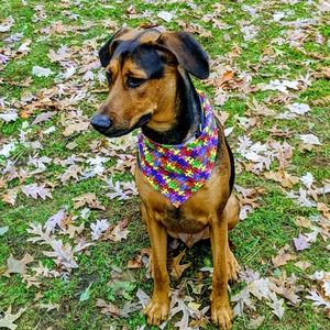 Meet your Posher, Patricia